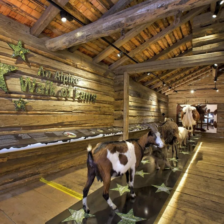 Holzinterieur mit Sternen und Ziegenstatuten im Ausstellungsraum