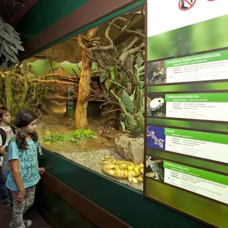 Besucher betrachten ein Terrarium mit Pflanzen und Tieren.