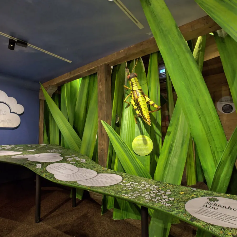 Interaktive Ausstellung mit grünen Pflanzen und Informationen