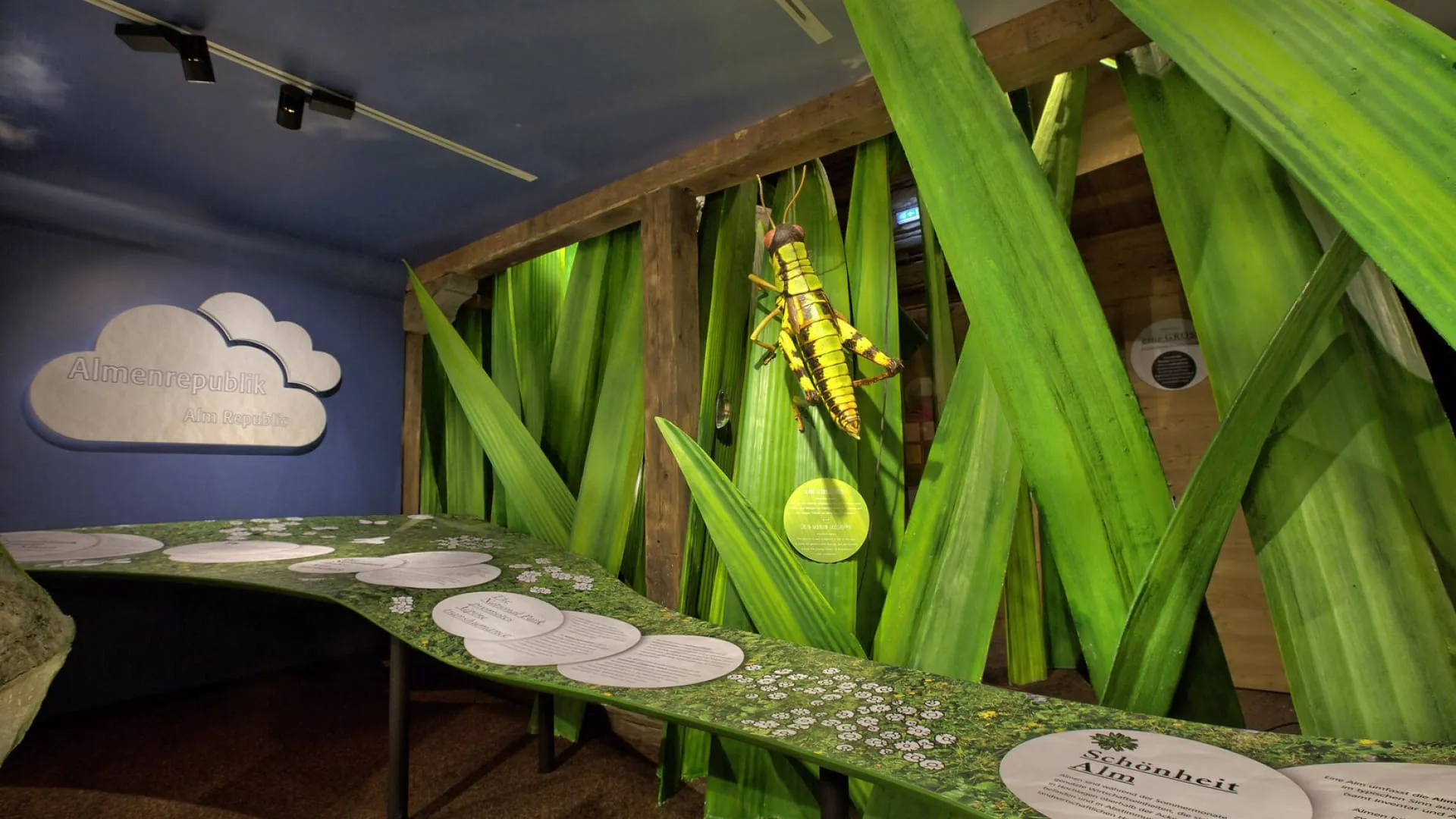 Interaktive Ausstellung mit grünen Pflanzen und Informationen