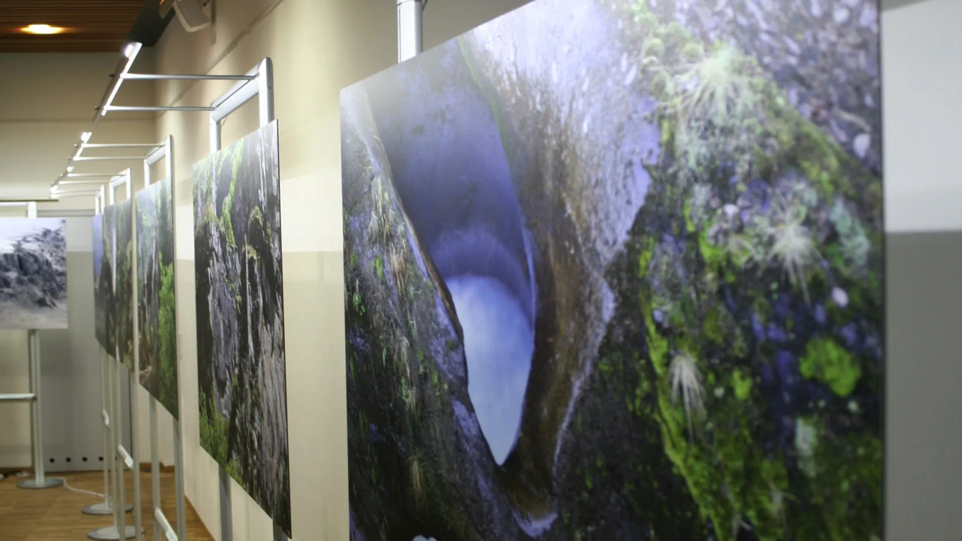 Ausstellung mit Bildern an Ständern in einem Innenraum