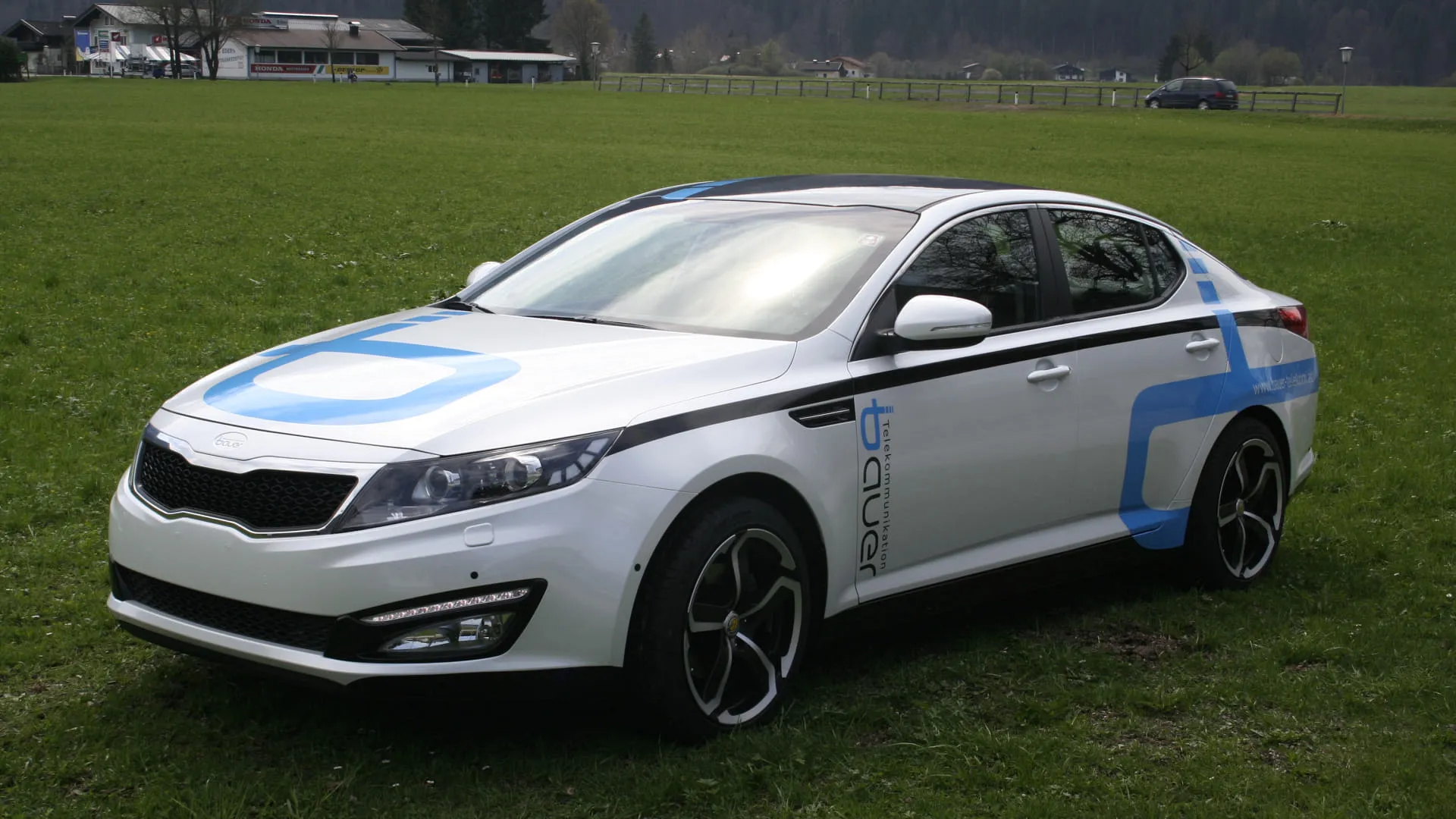 Auto mit blauem Design auf einer Wiese