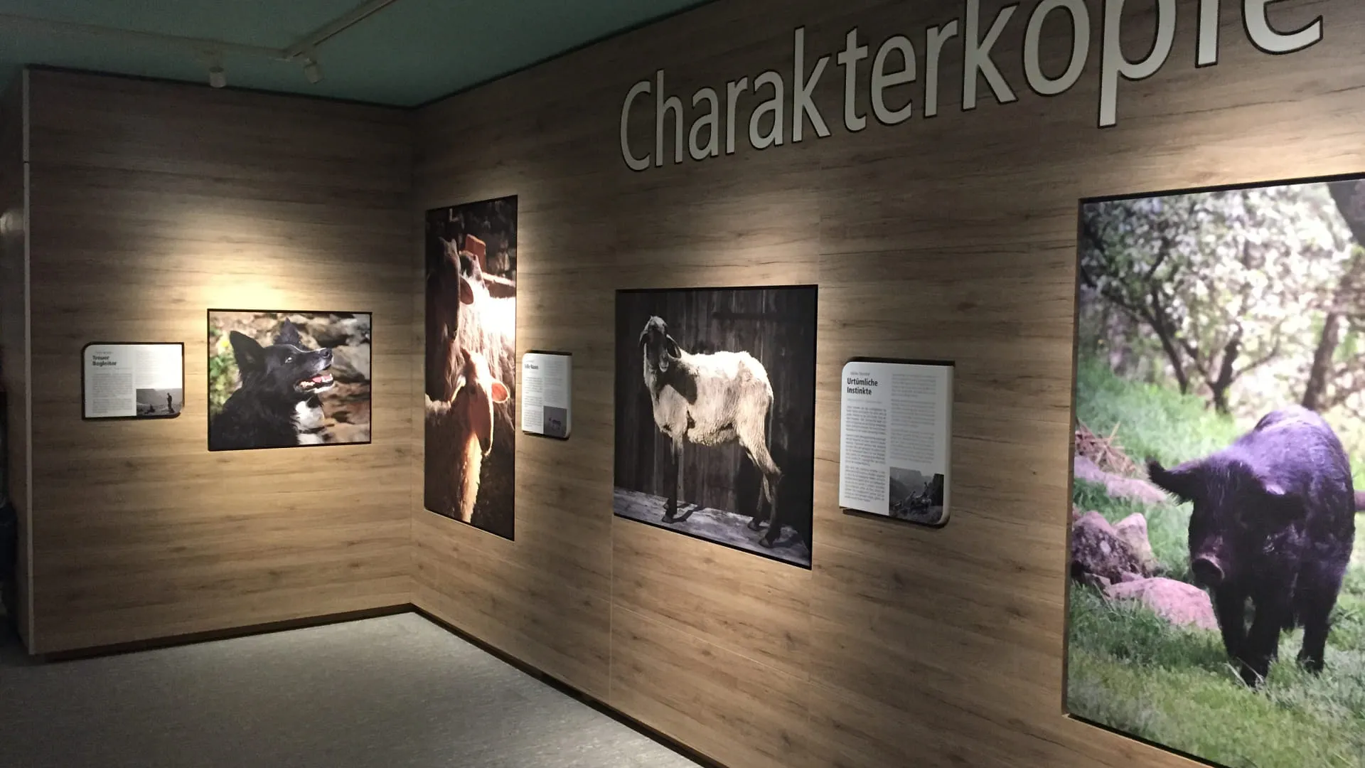 Wand mit Fotografien und Texten zu Charakterköpfen