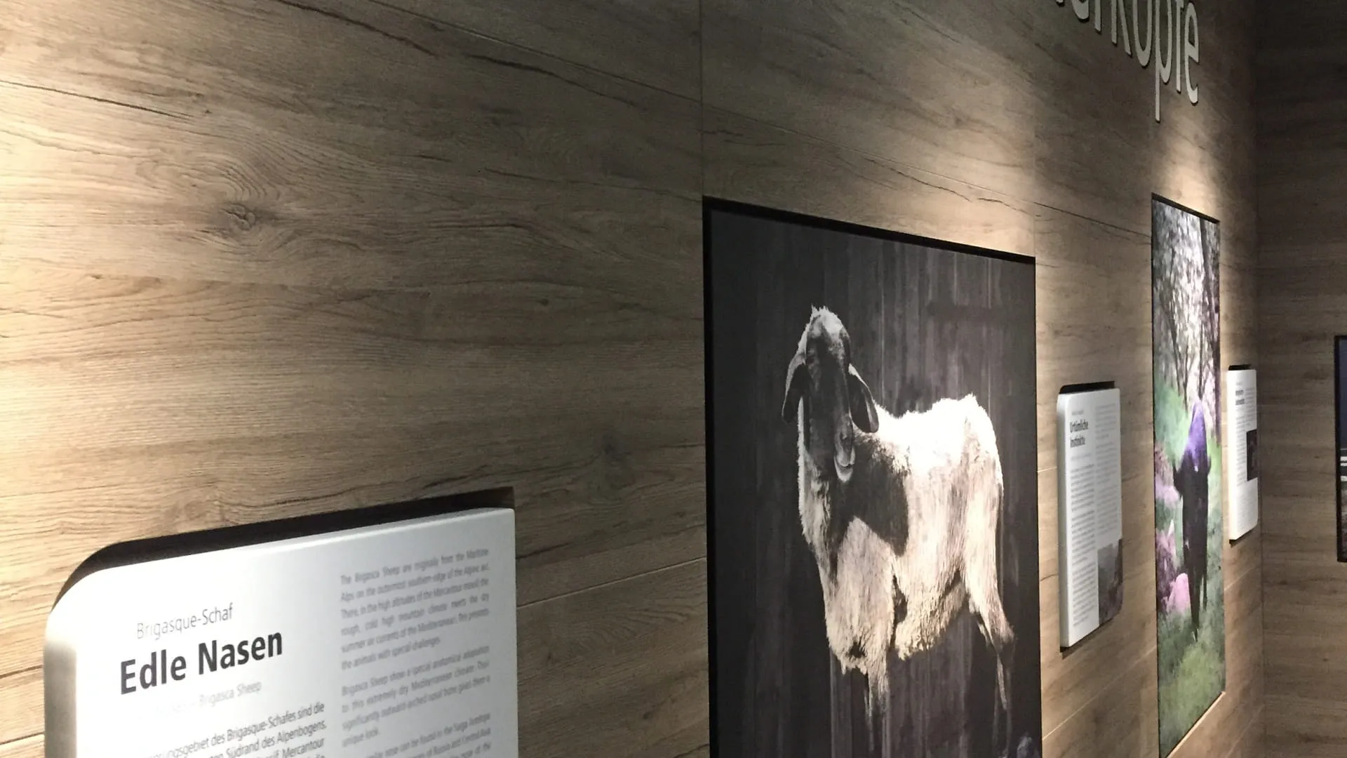 Ausstellung mit Texten und Bildern an einer Holzwand