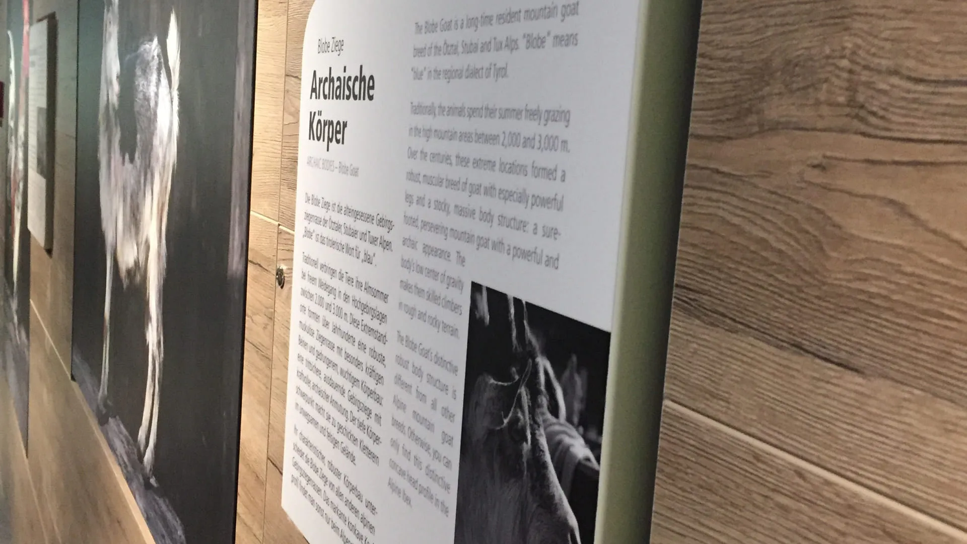 Ausstellungstafel mit Informationen und Bildern von Tieren