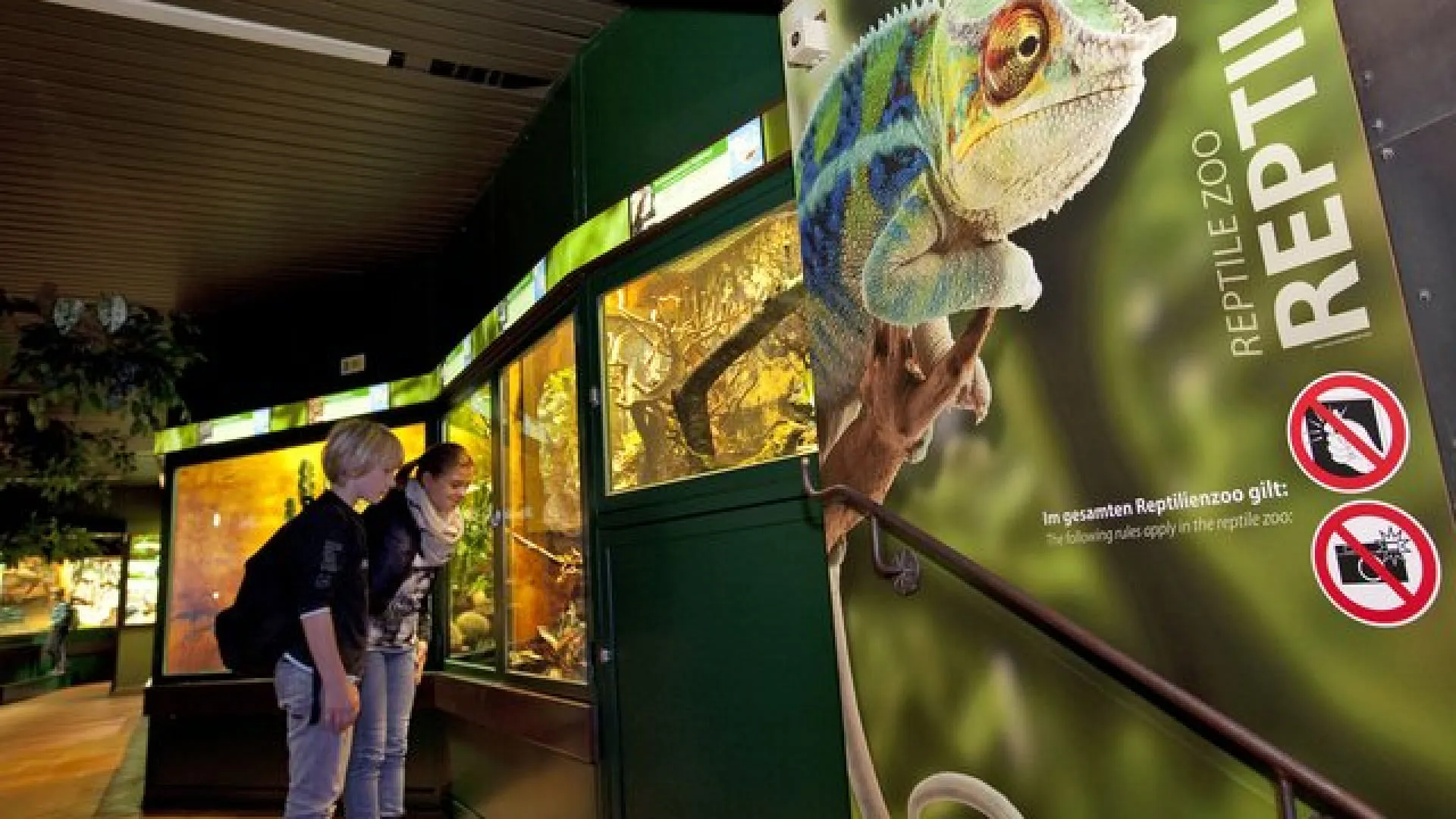 Besucher im Reptilienzoo betrachten Aquarien mit Tieren.